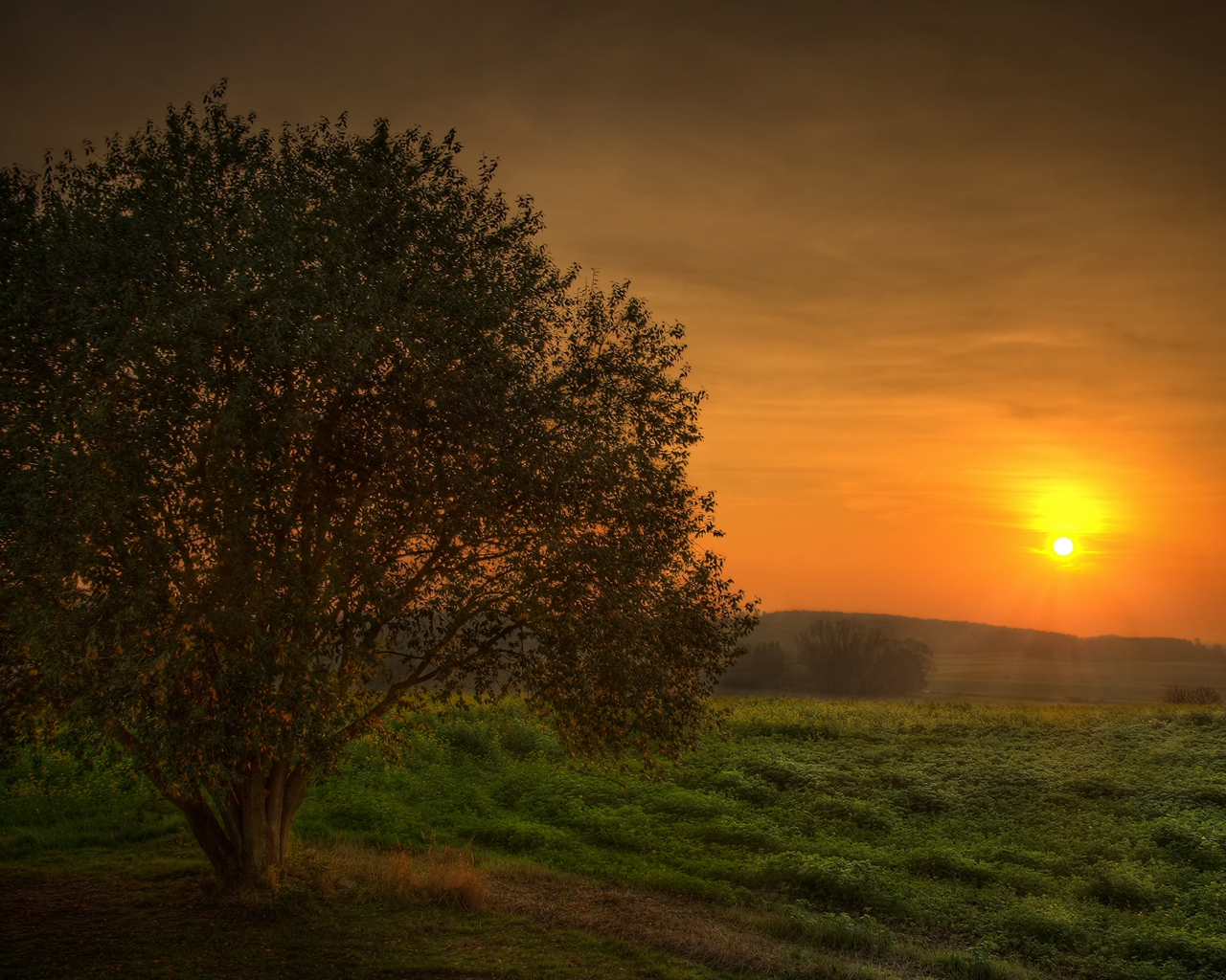 Загадочный закат
