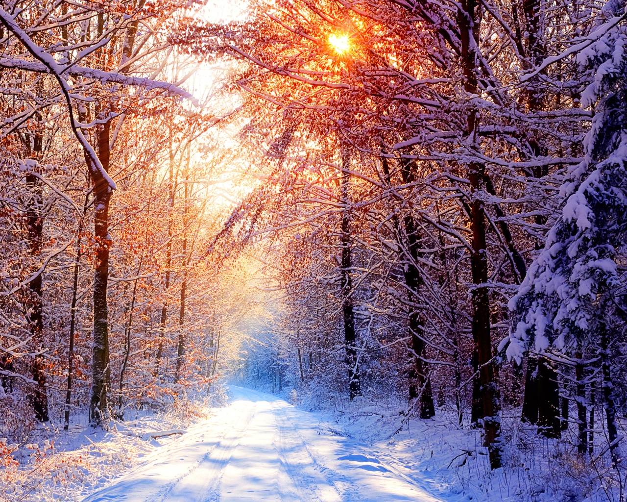 Закат в снежном лесу