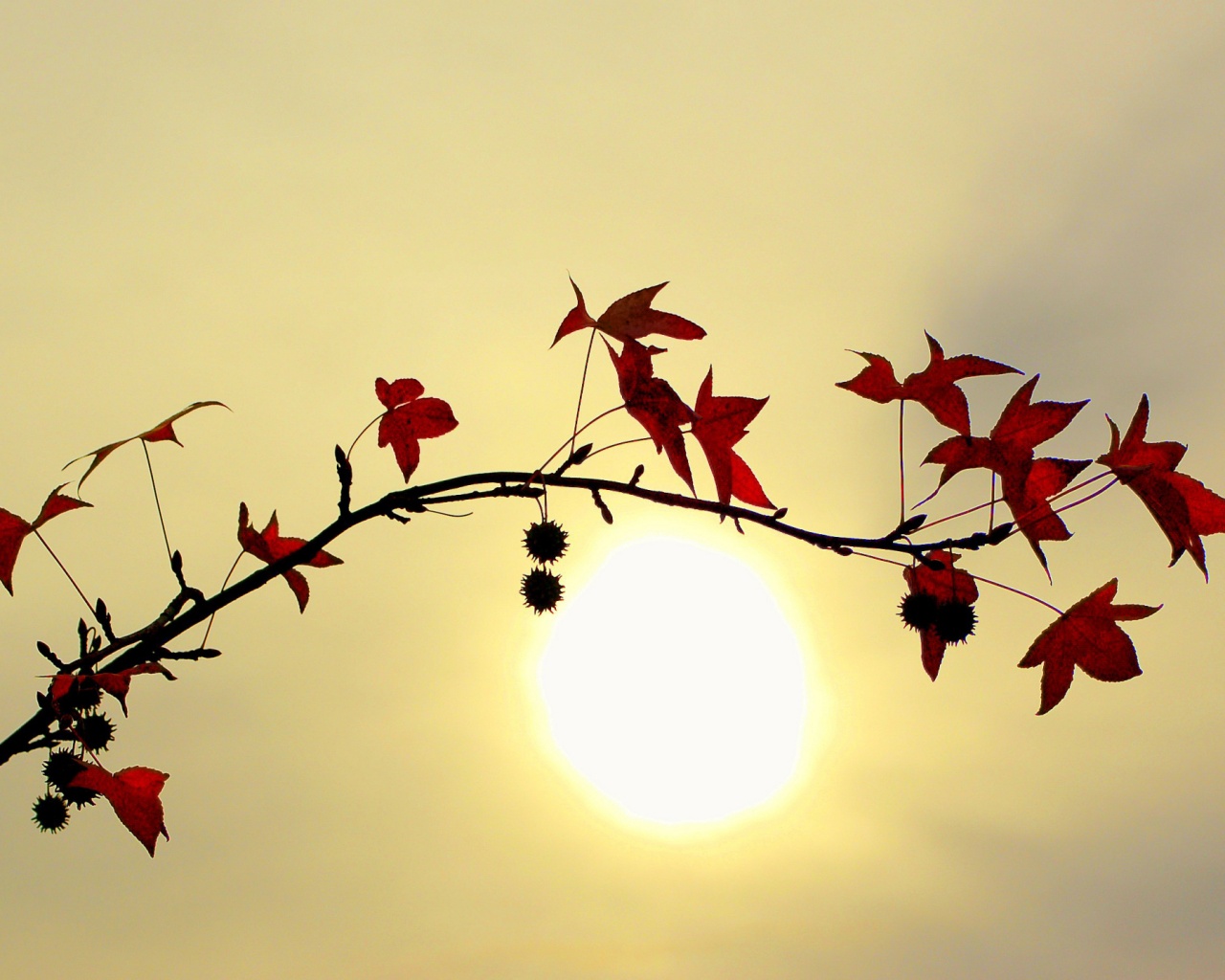 Заходящее солнце