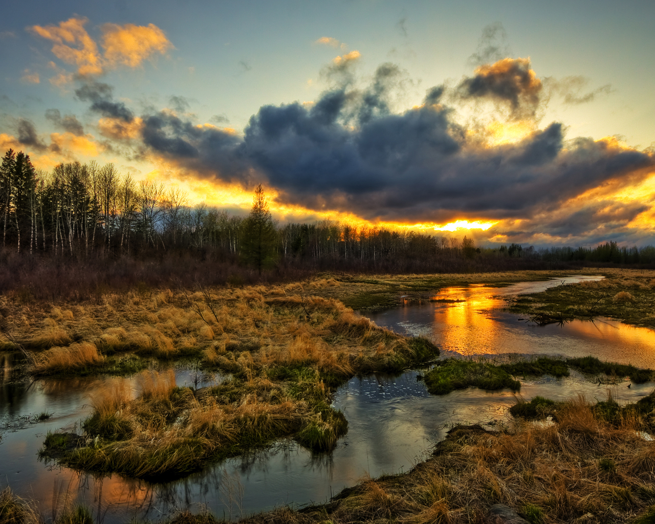 Закат в заболоченном местечке