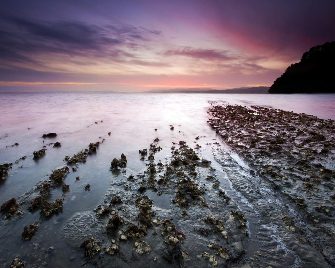 Залив на закате