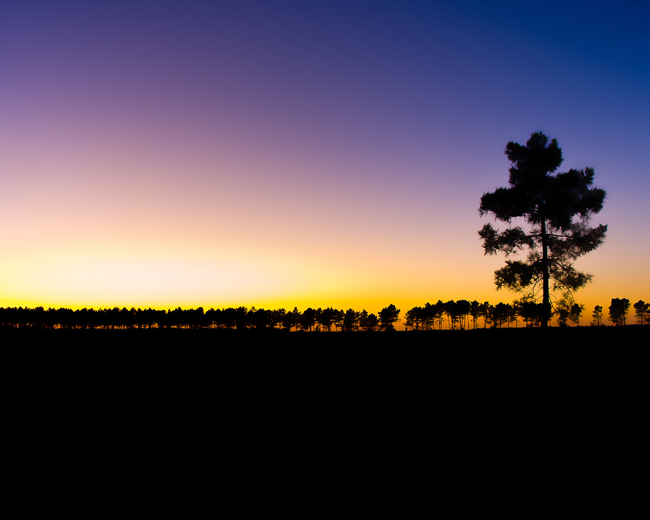 Последний луч света