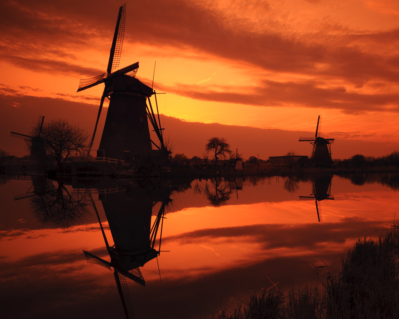 Windmills at Sunset