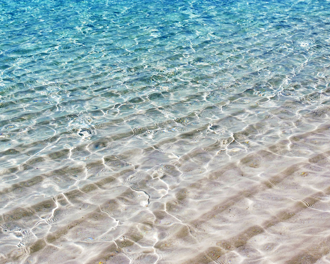 На берегу моря