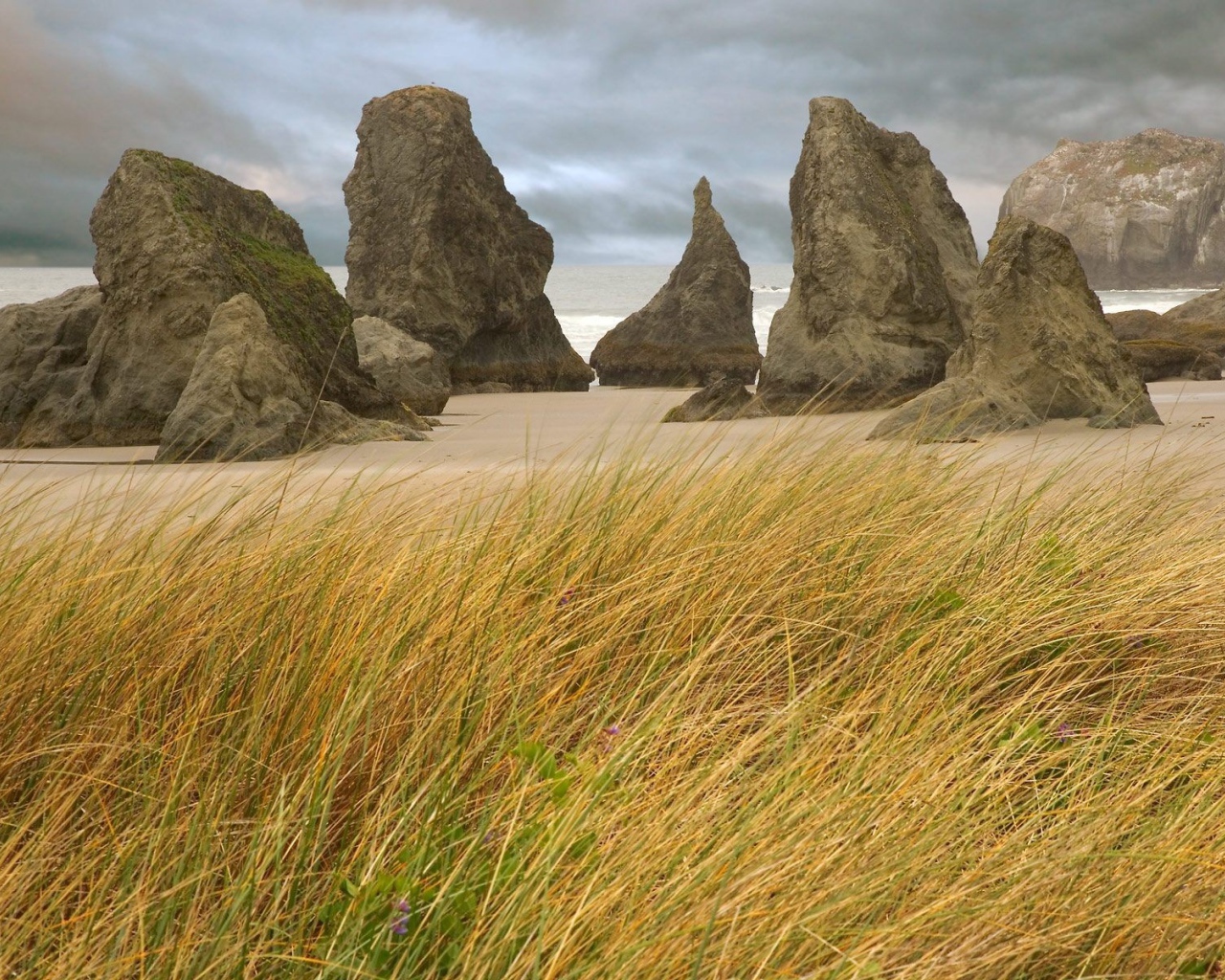 Пребрежные скалы