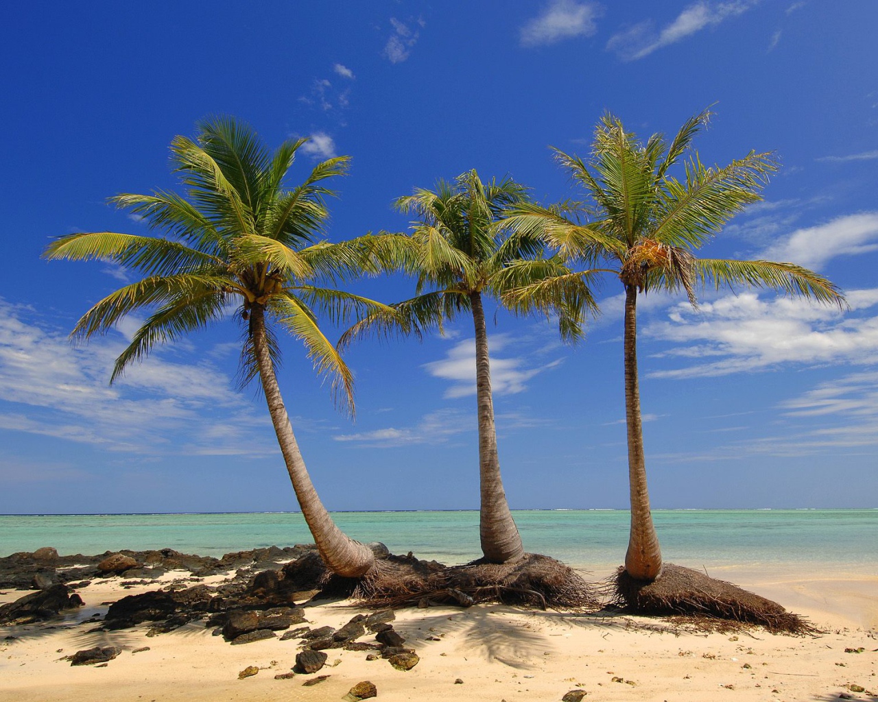 Пальмы на пляже