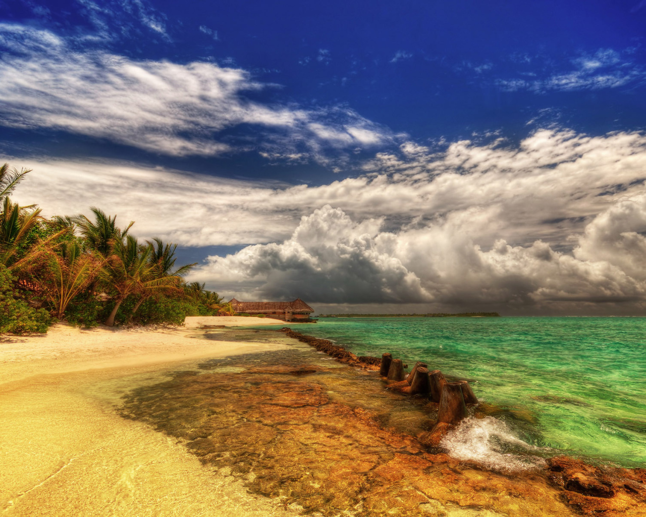 Земля обетованная