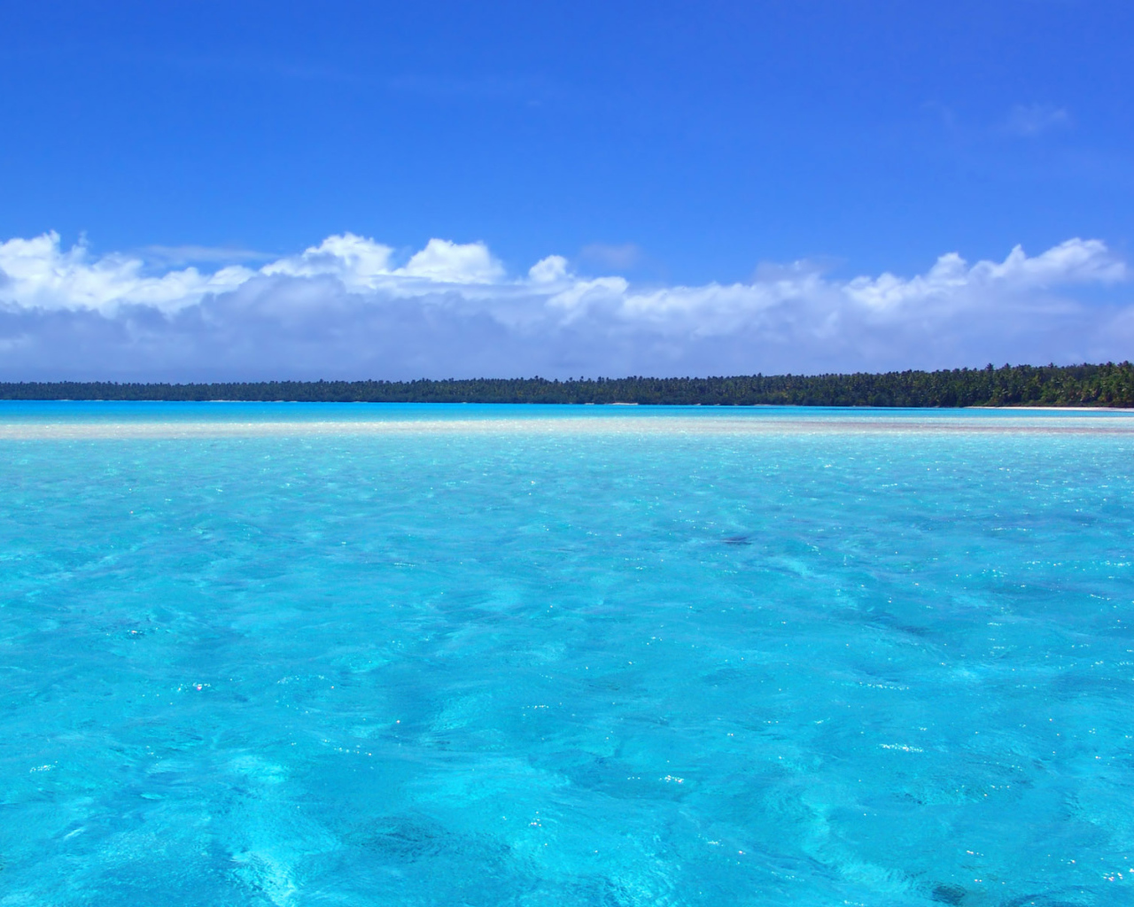 Отдых на берегу моря