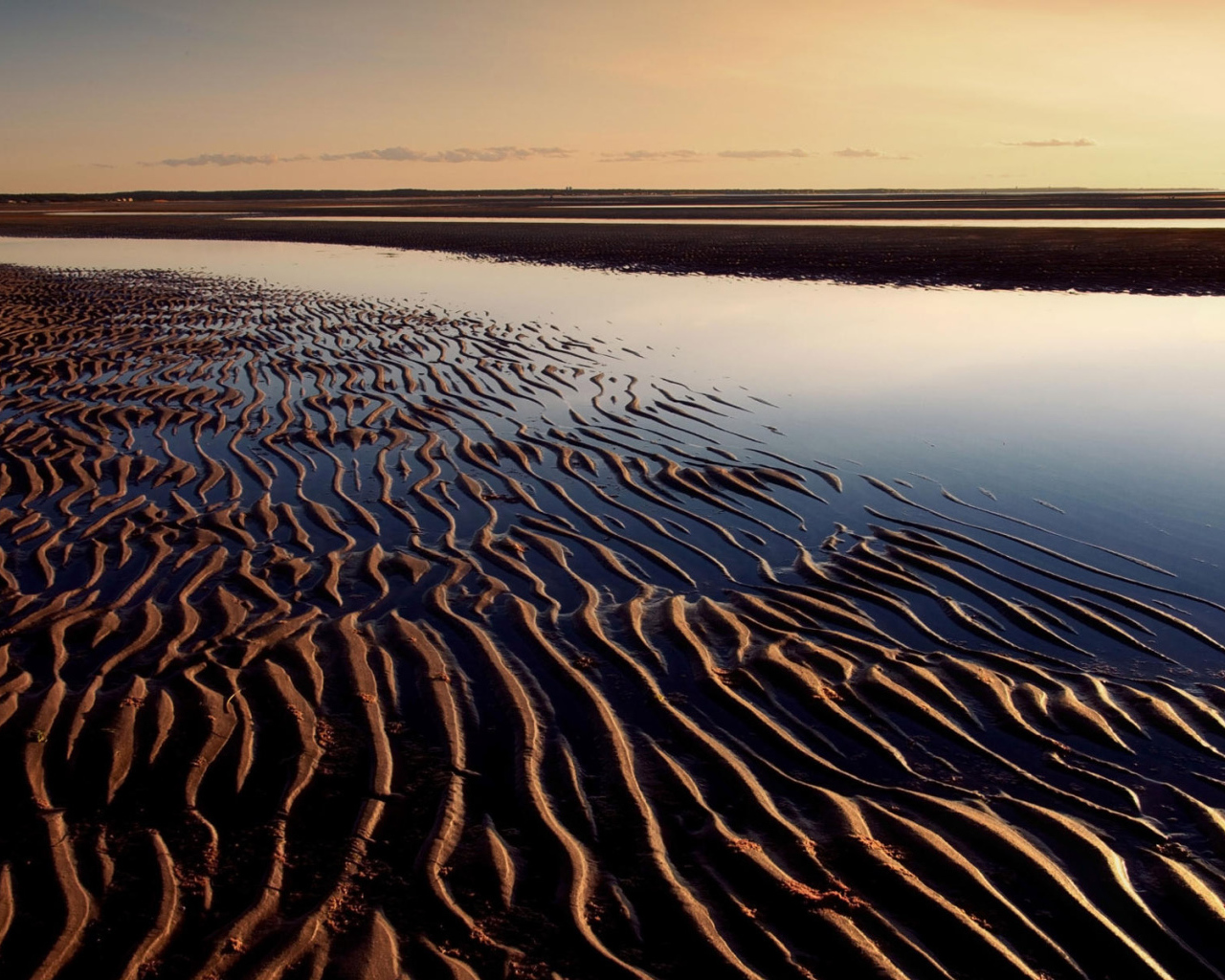 Волнистый берег