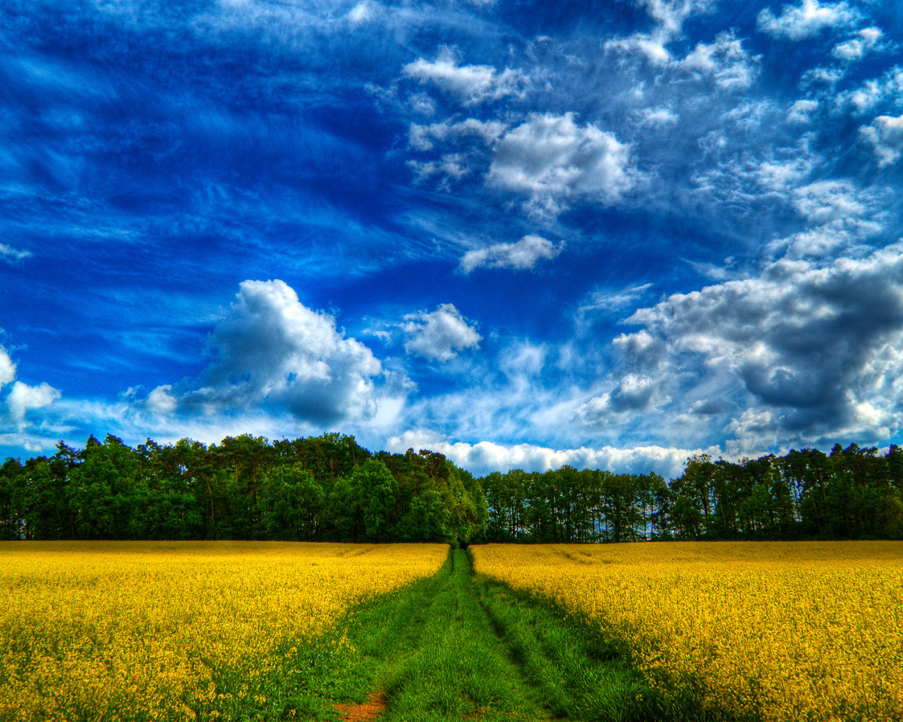 Сказочное небо