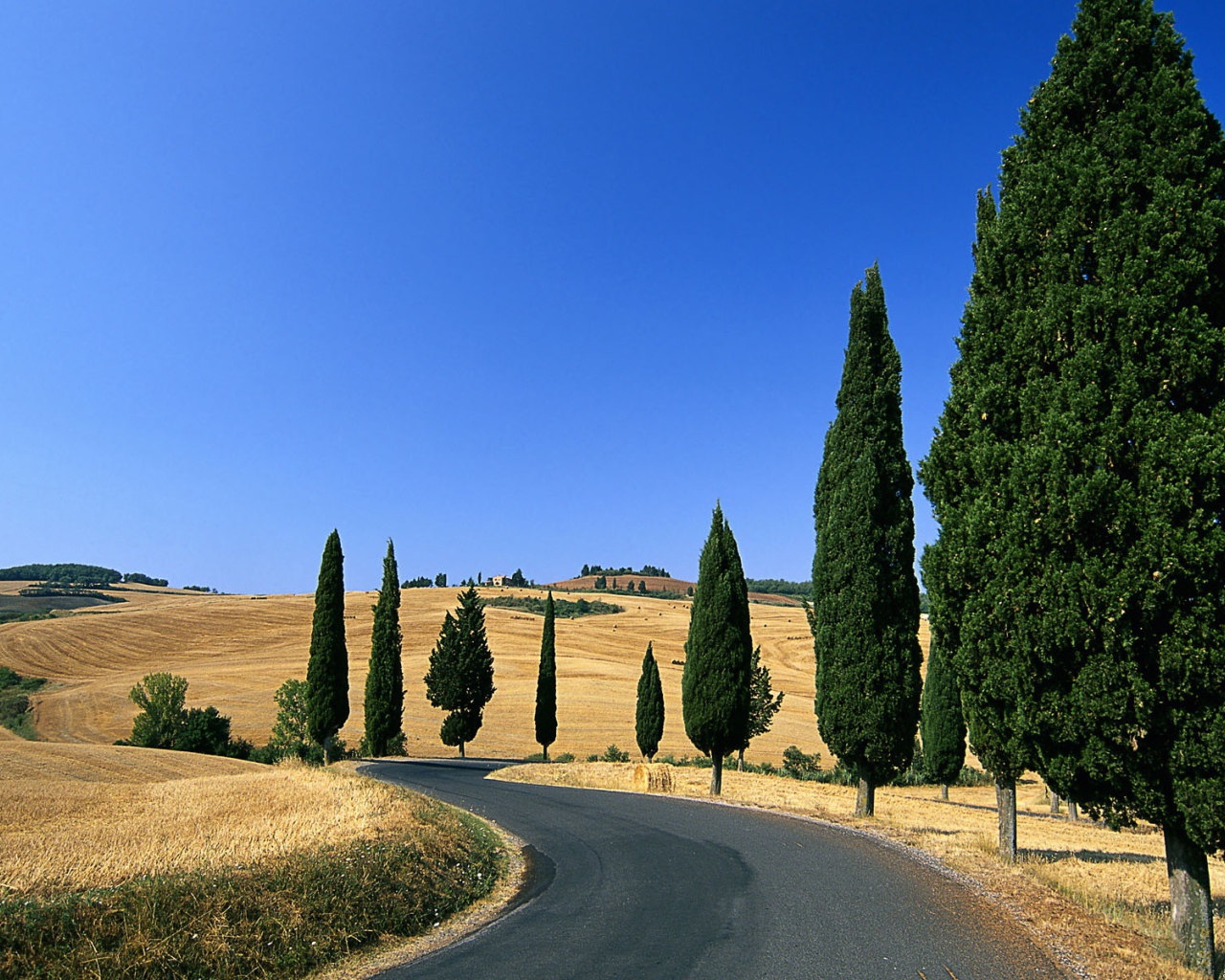 Деревенская дорога