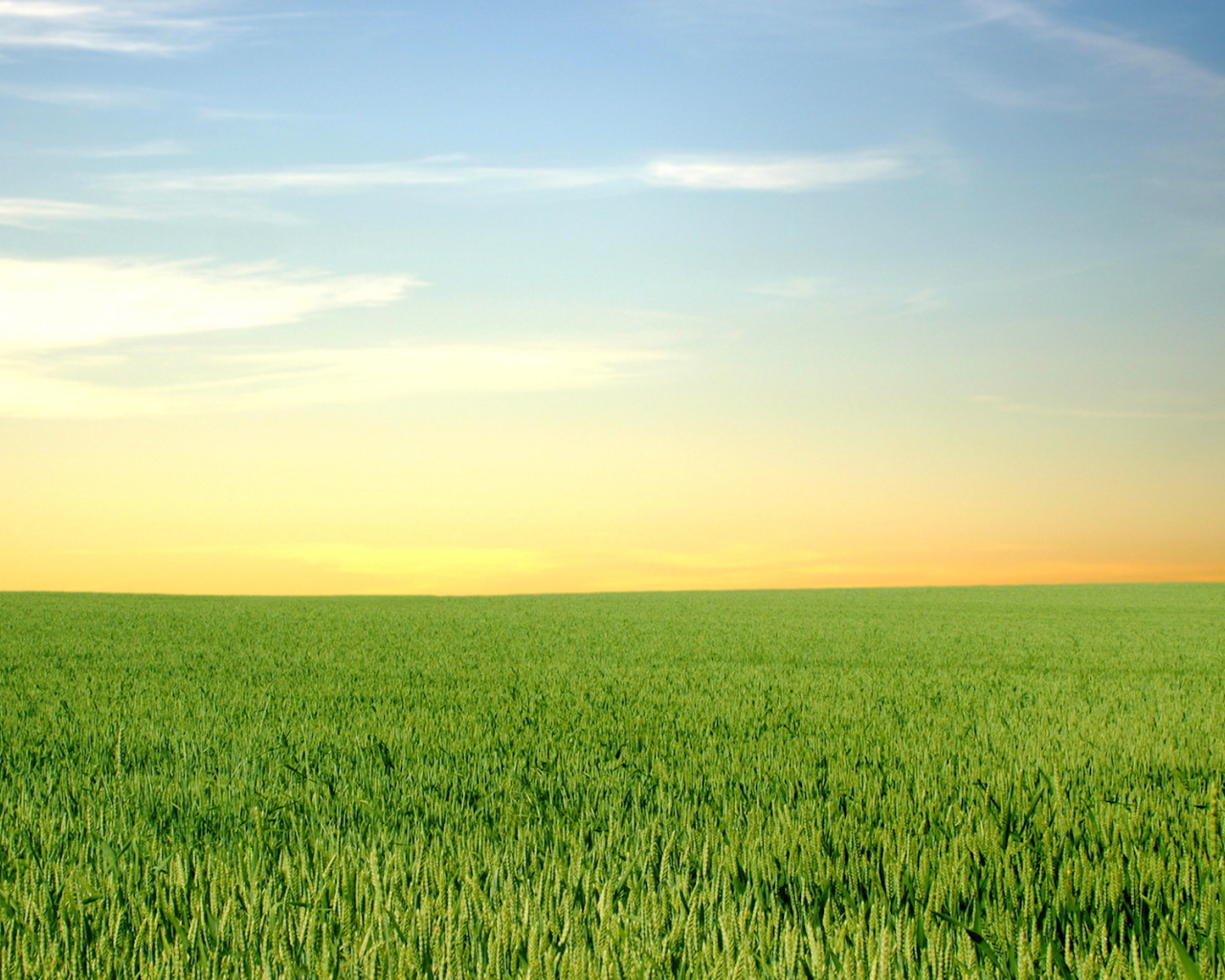 Зеленый горизонт