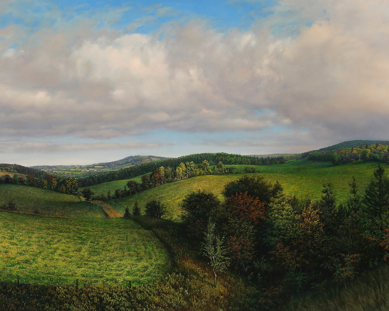 Летнее утро