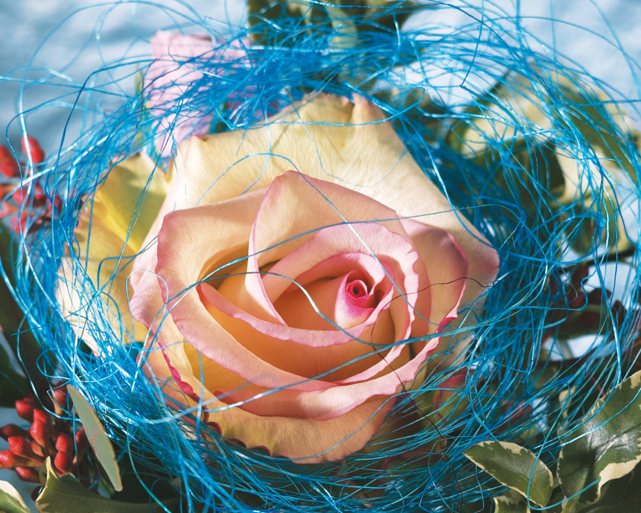 Украшенная роза