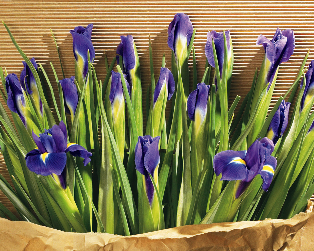 Цветы в подарок