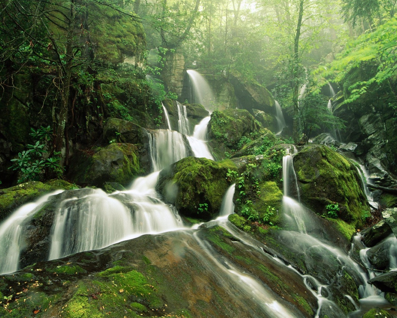 Тропический водопад
