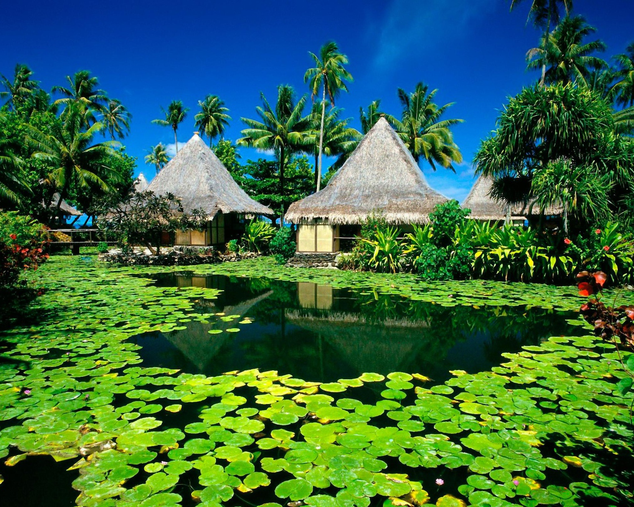 Рай на острове