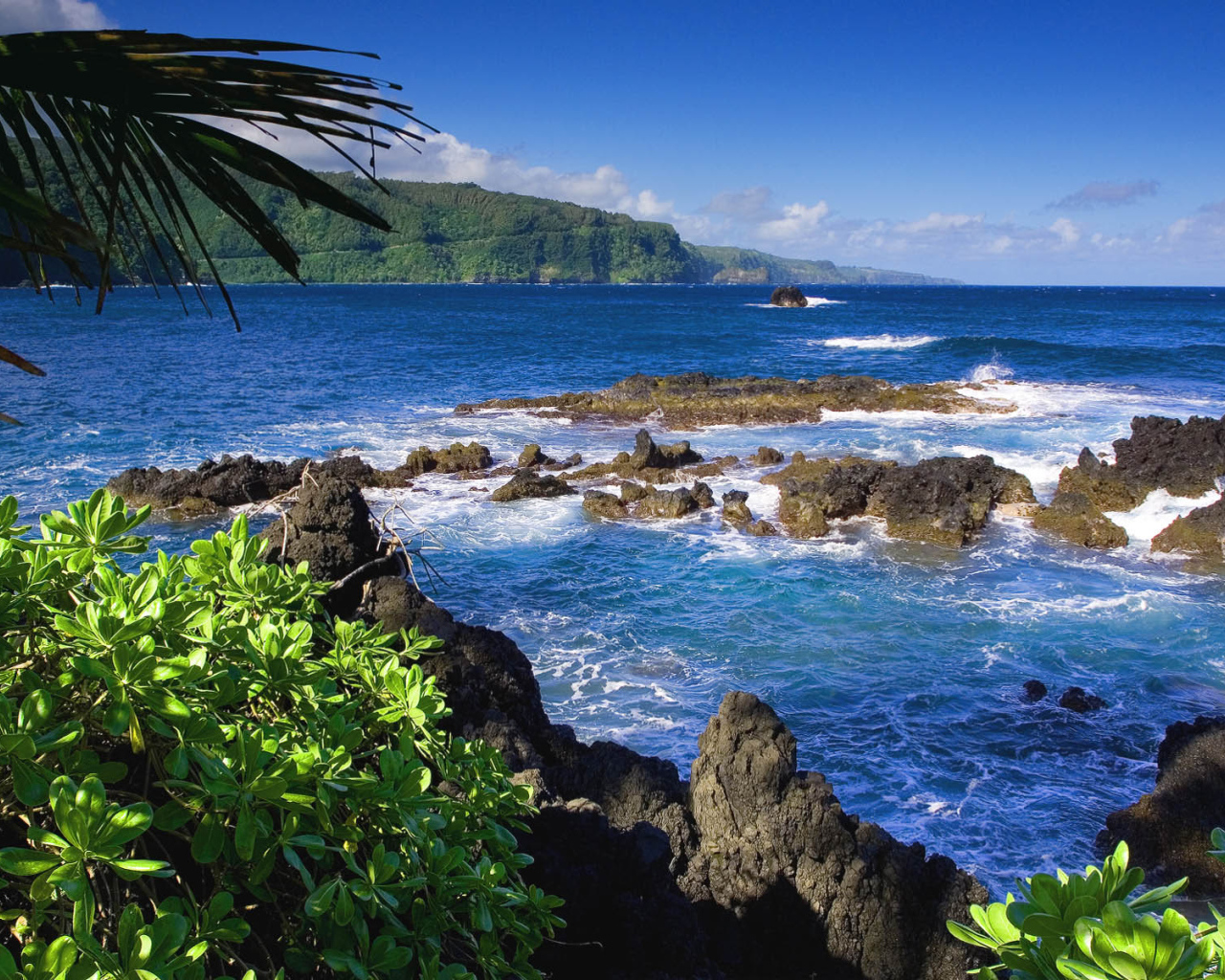 Рифы у райской земли