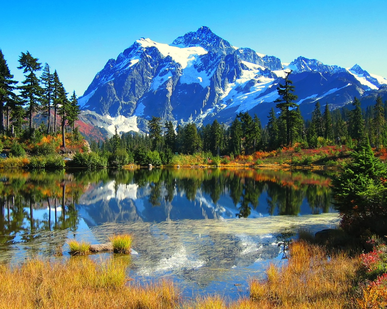 Невероятно красивый вид на горы