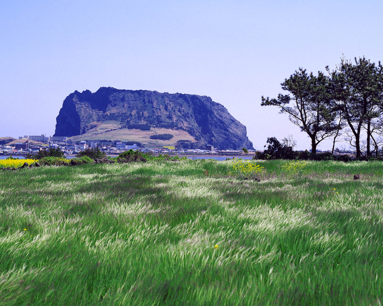 Гора у города