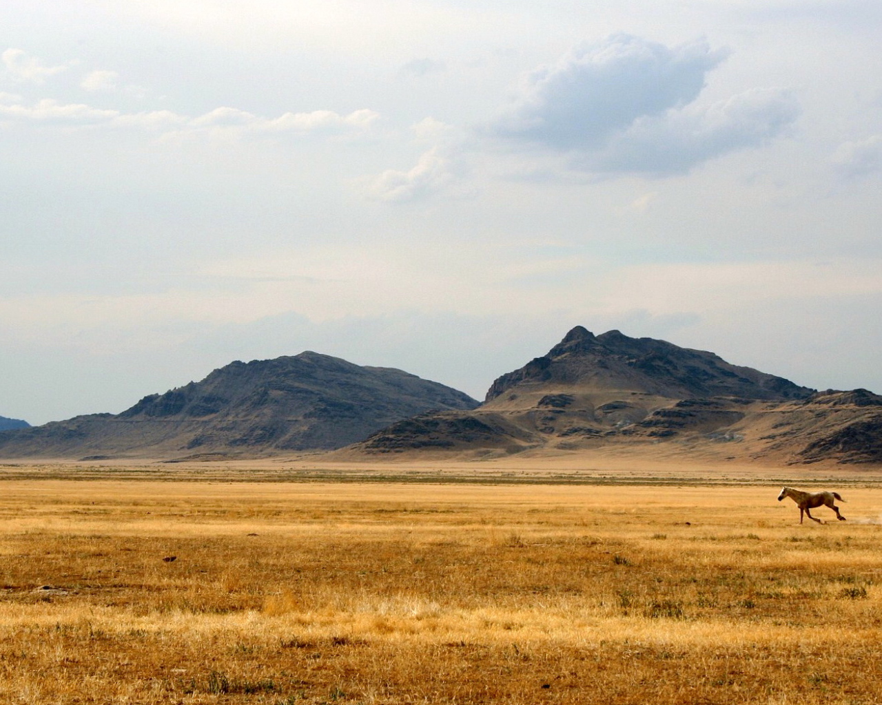 Дикий Запад