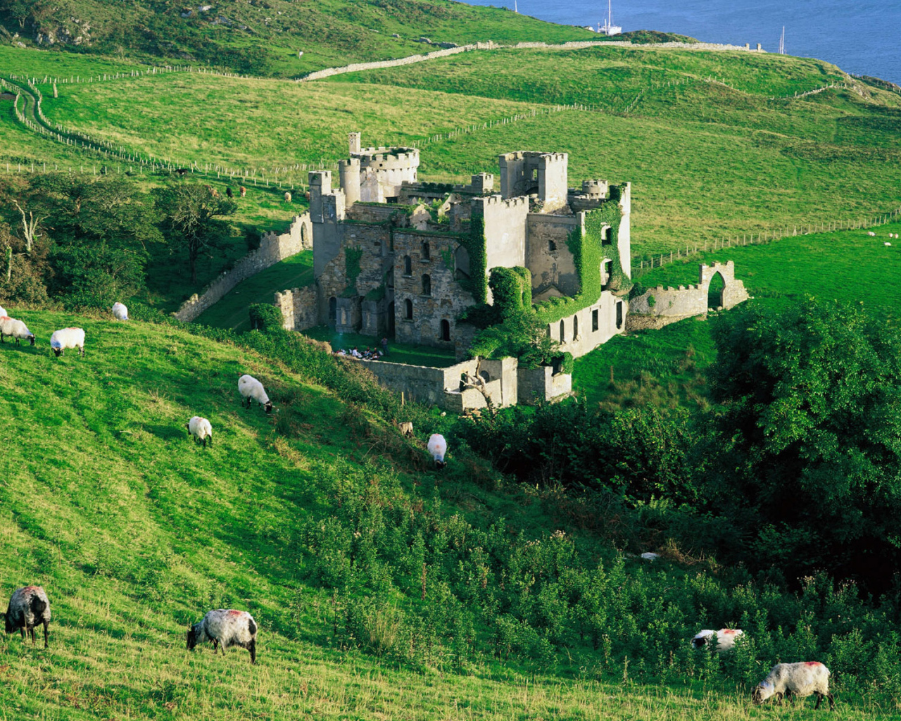 Зеленые холмы