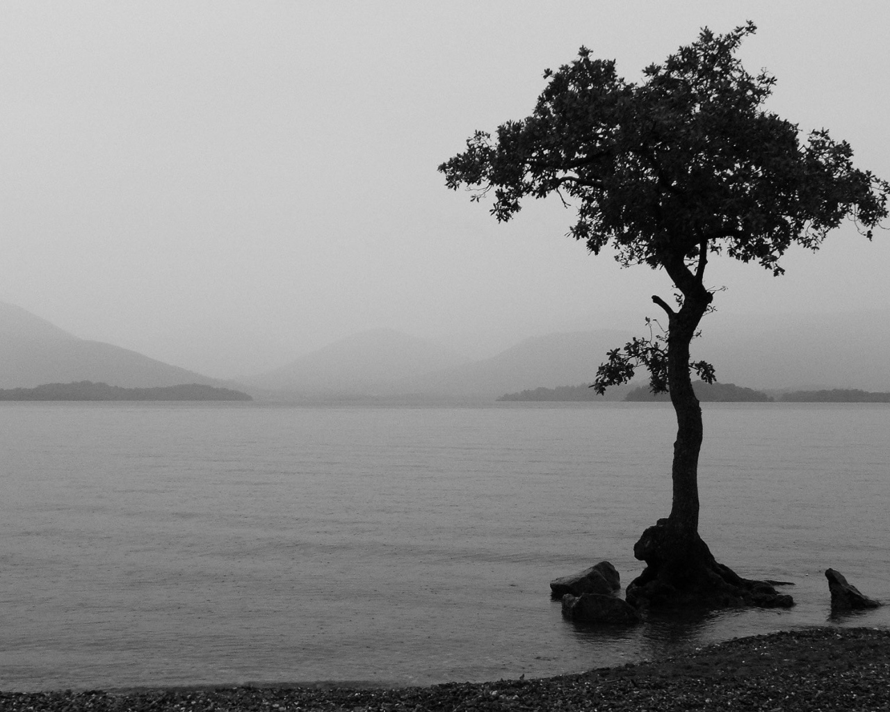 Туманное озеро