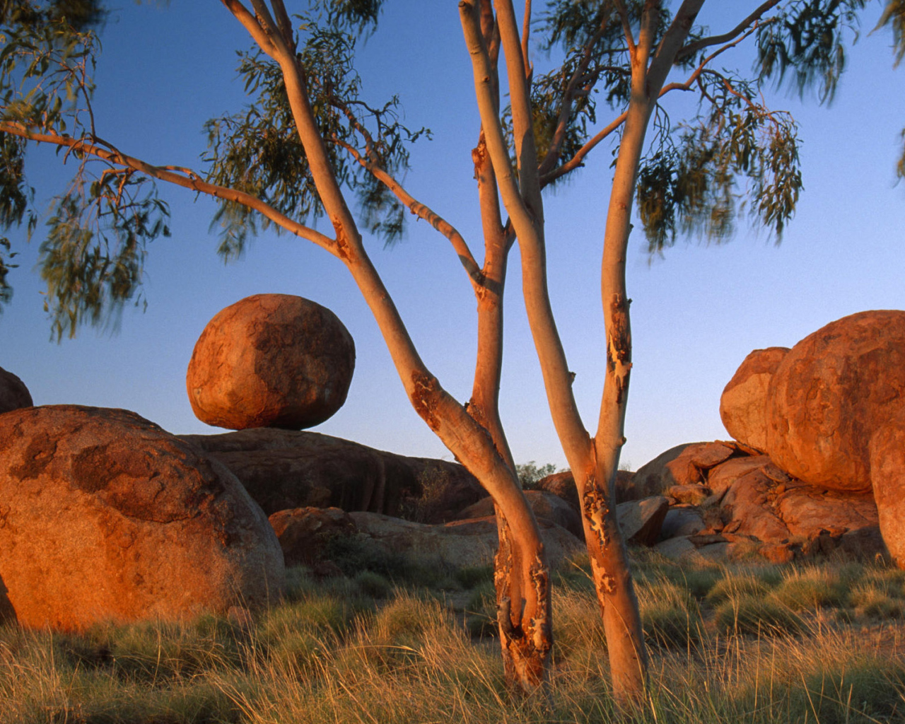 Круглые камни