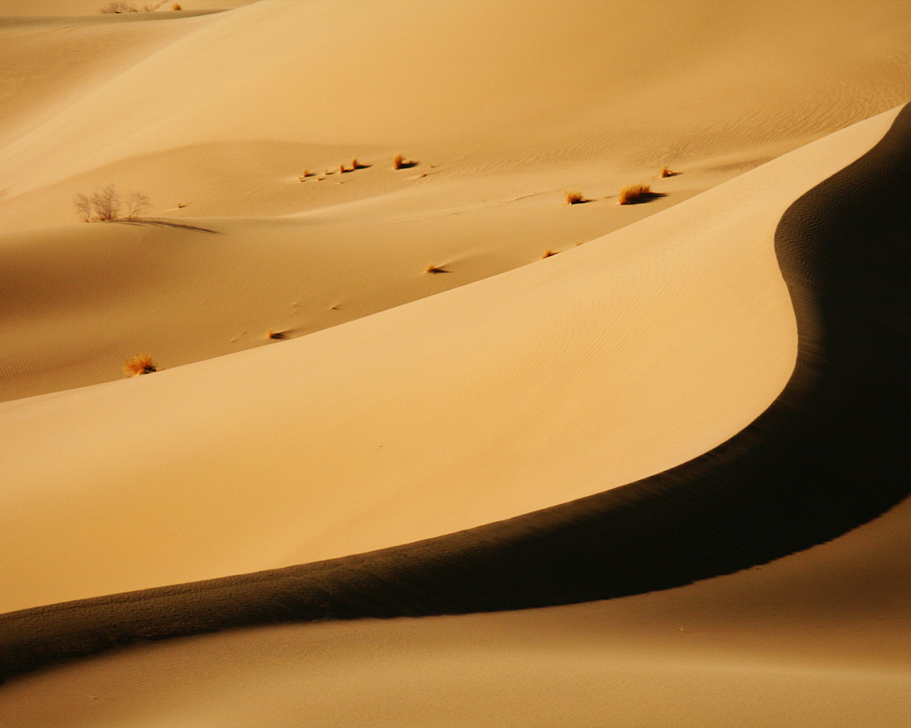 Песочные дюны