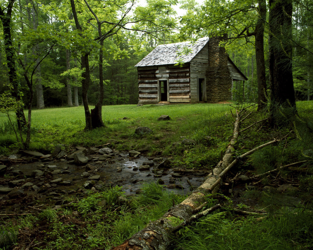 Дом на лесной поляне