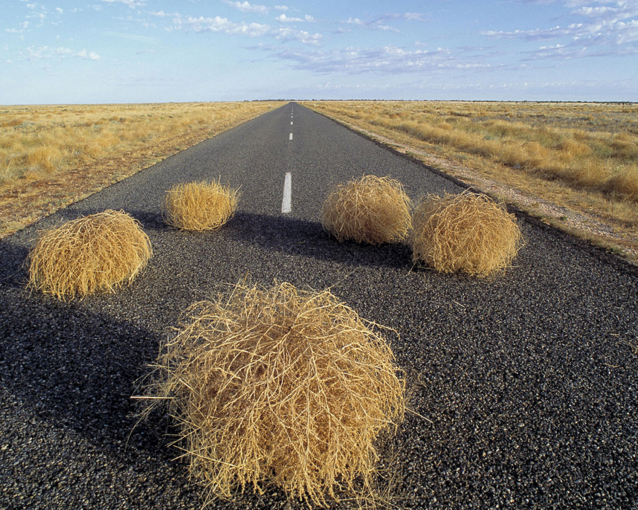 Дорога через пустыню