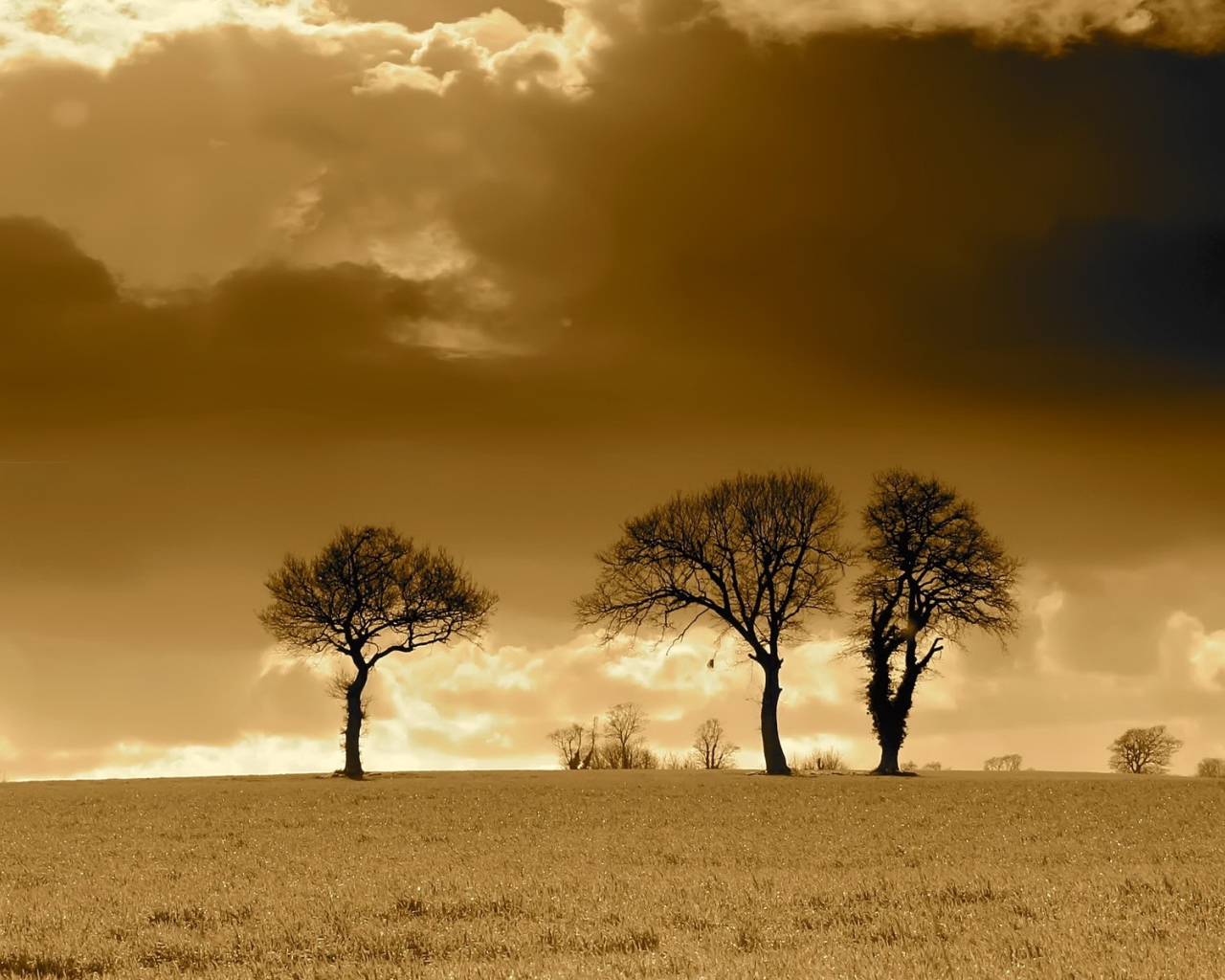 Вечерние облака