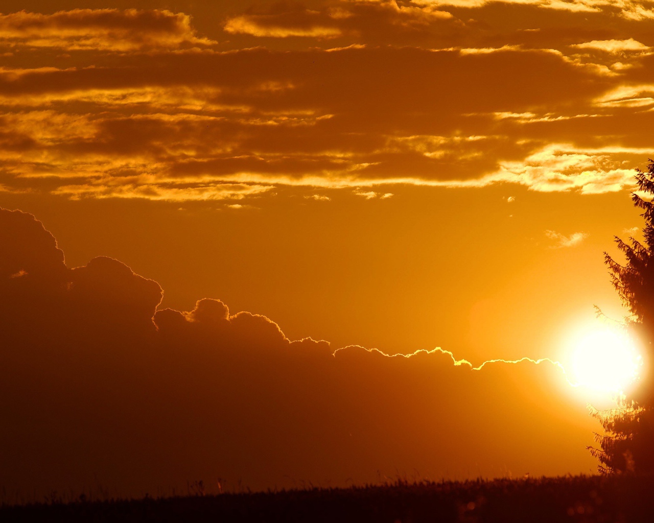 Лучи заходящего солнца