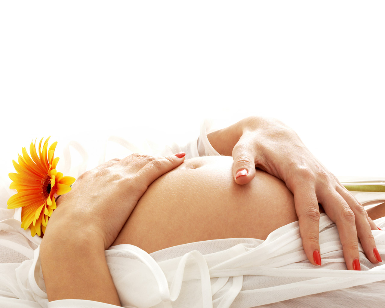 Новая жизнь