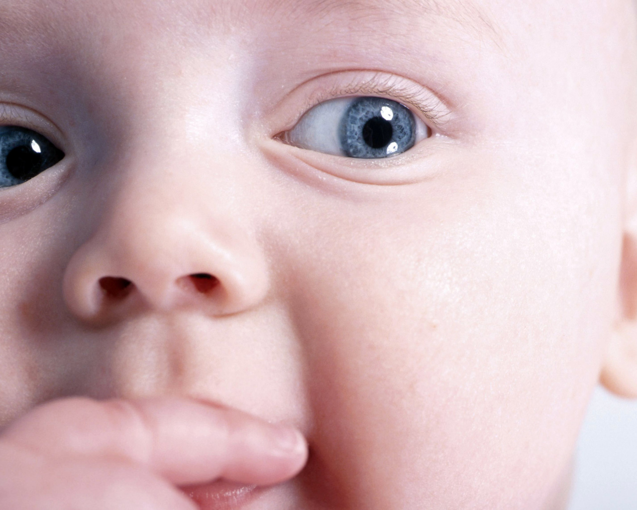 Любознательный малыш