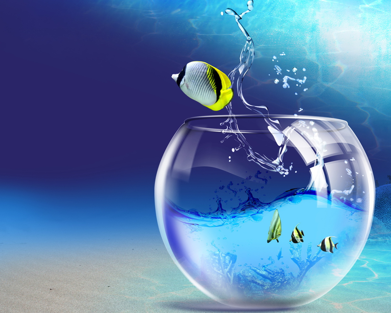 Прощание с аквариумом