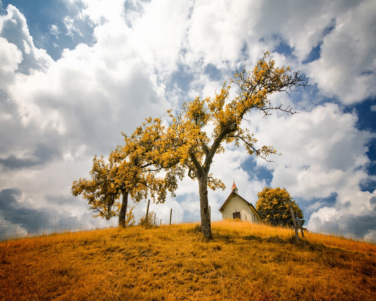 В желтом фокусе