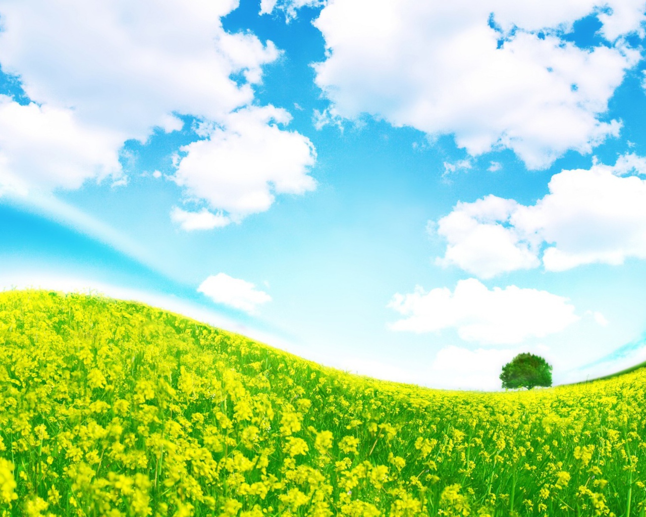 Крутая полянка