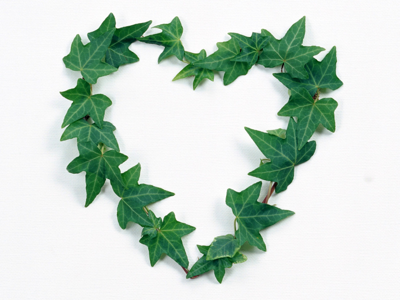 Сердце из листьев