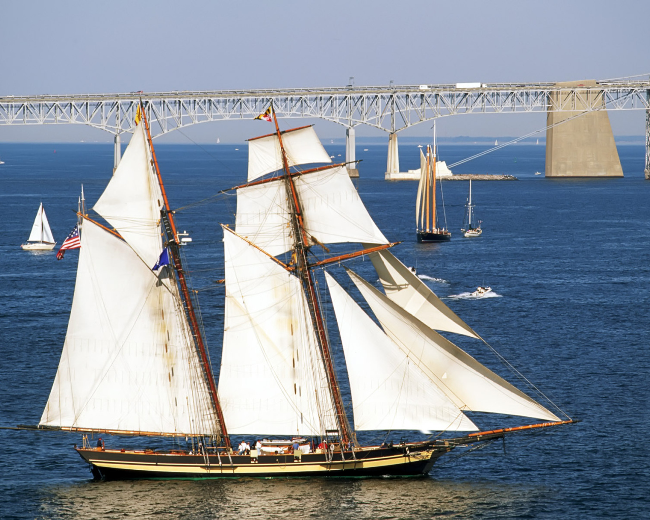 Белые паруса