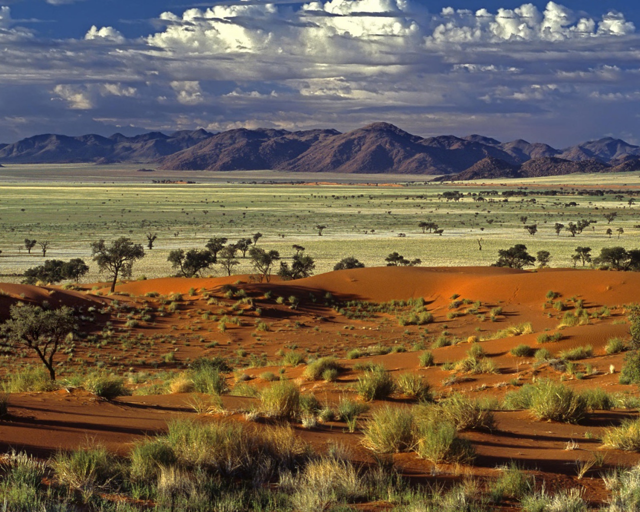 Африканская саванна