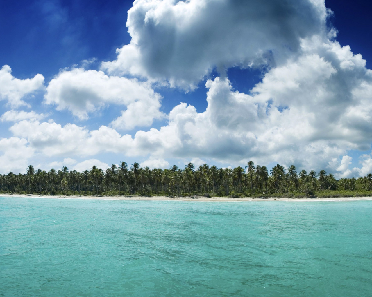 Гавайский берег