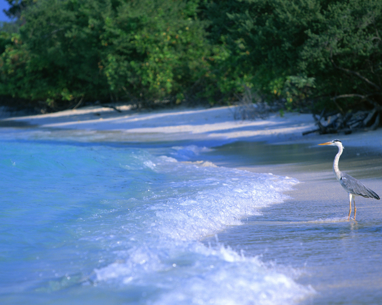 Курорт Мальдивы