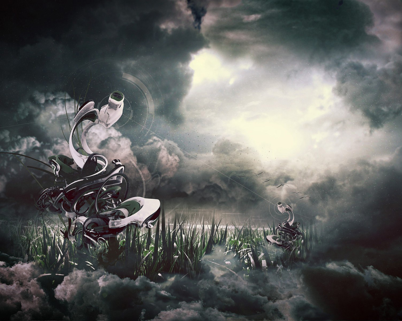 Видеокамеры