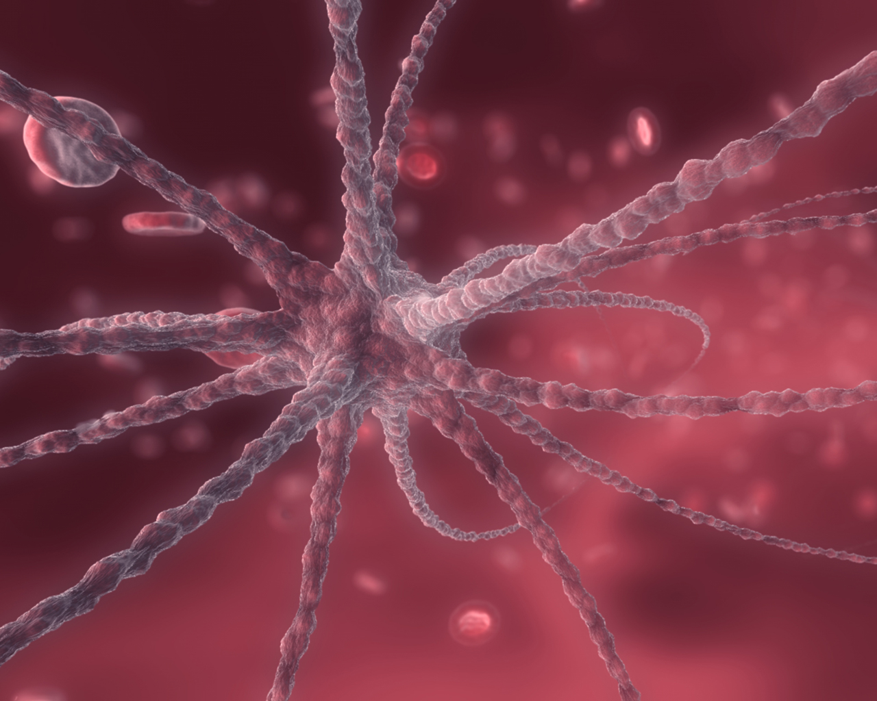 Кровяные тельца