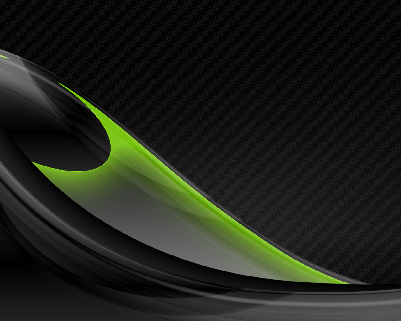 Разнообразие