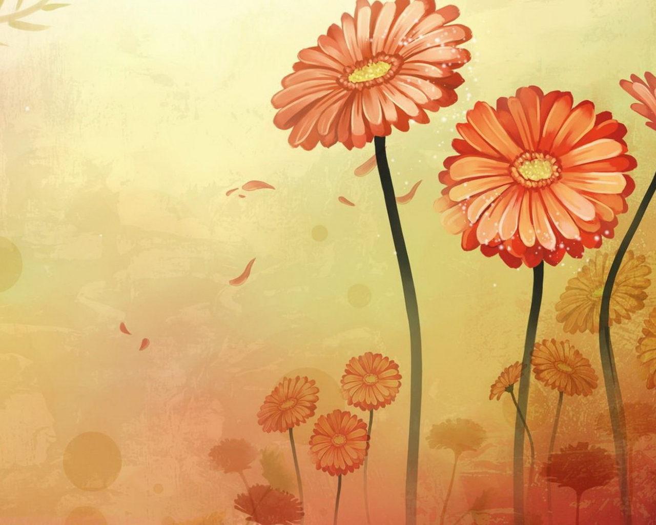 Оранжевые цветы