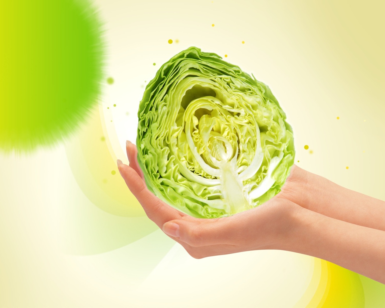 Качан капусты