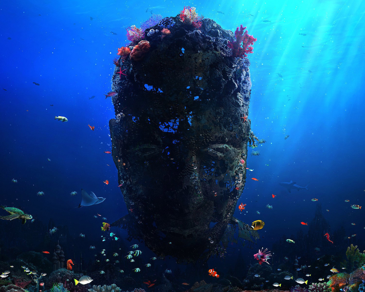 Невиданный коралл