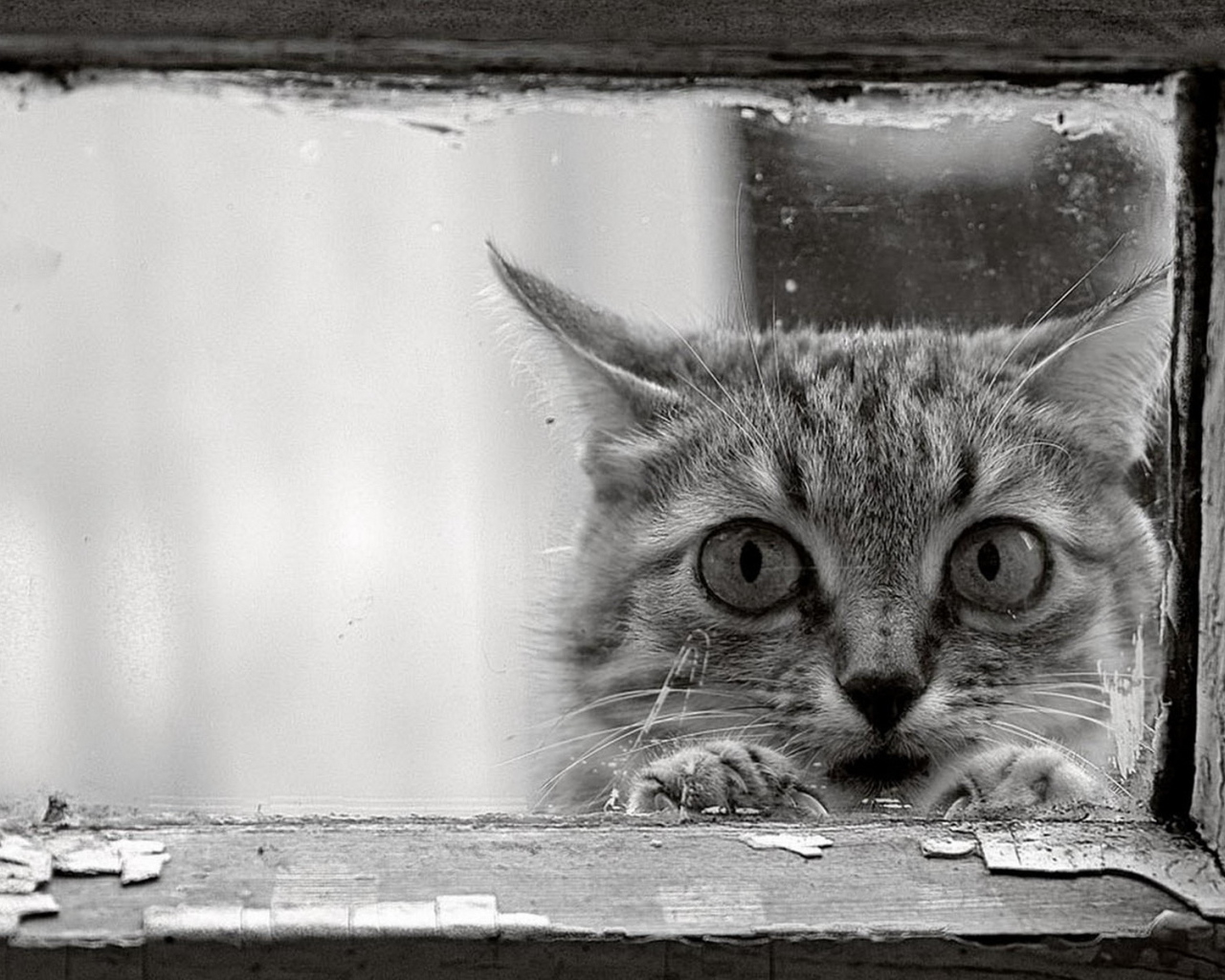 Возле окошка